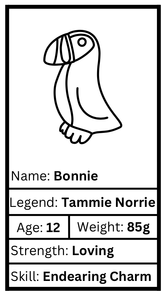 Bonnie Worrywart - Puffin - Image 3