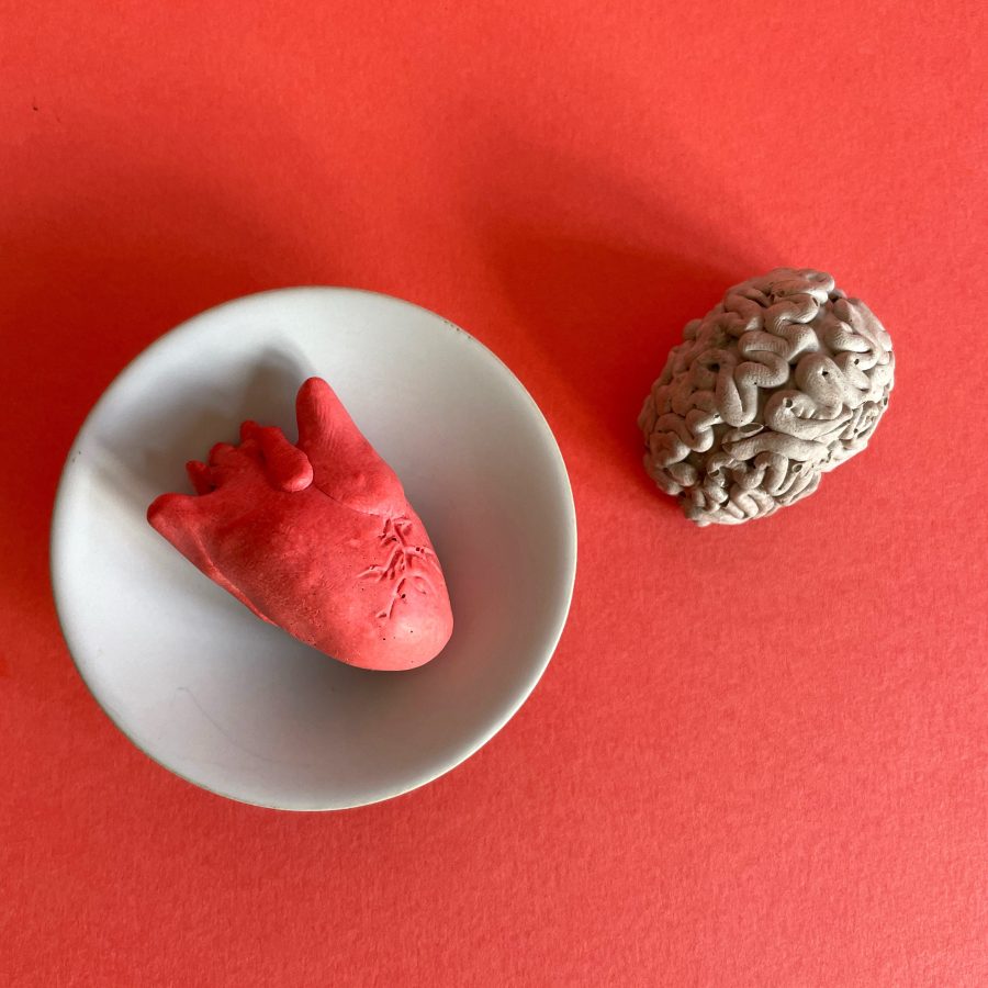 Mini Duo - Anatomical Thinking
