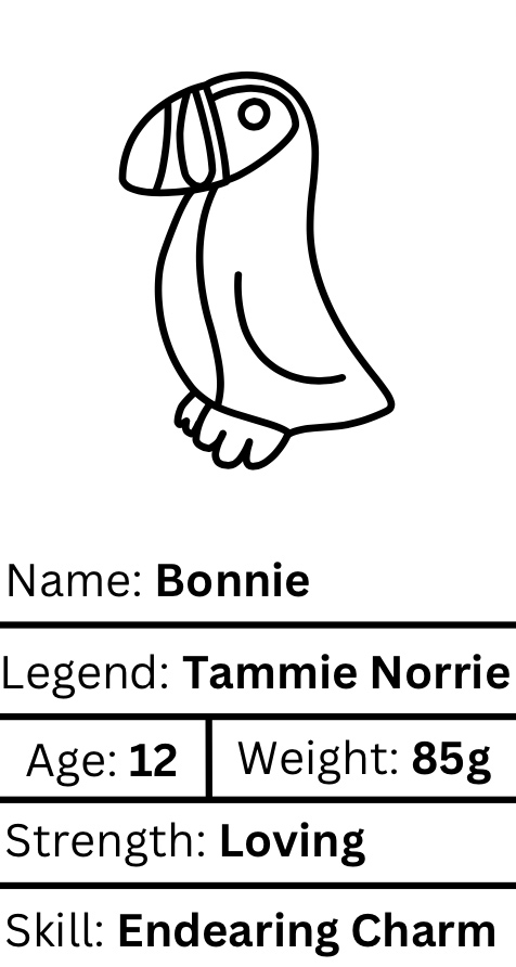 Bonnie Worrywart : Puffin