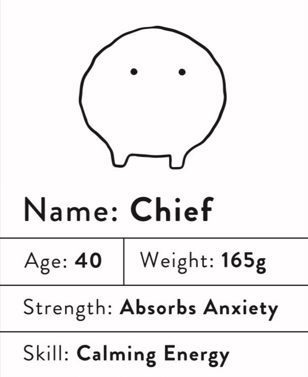 Chief Worrywart