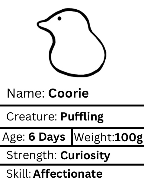 Coorie Worrywart : Bird