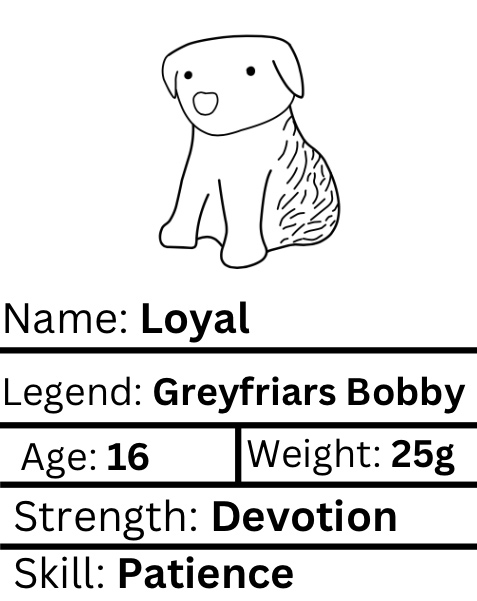Loyal Worrywart Greyfriars Bobby